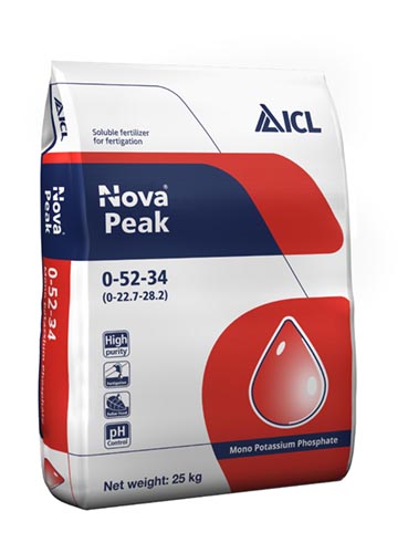 NOVA PEAK	